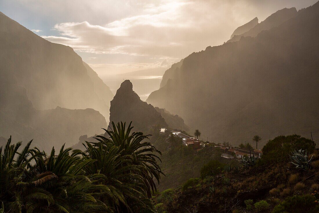 Spain, Canary Islands, Tenerife island, Masca village