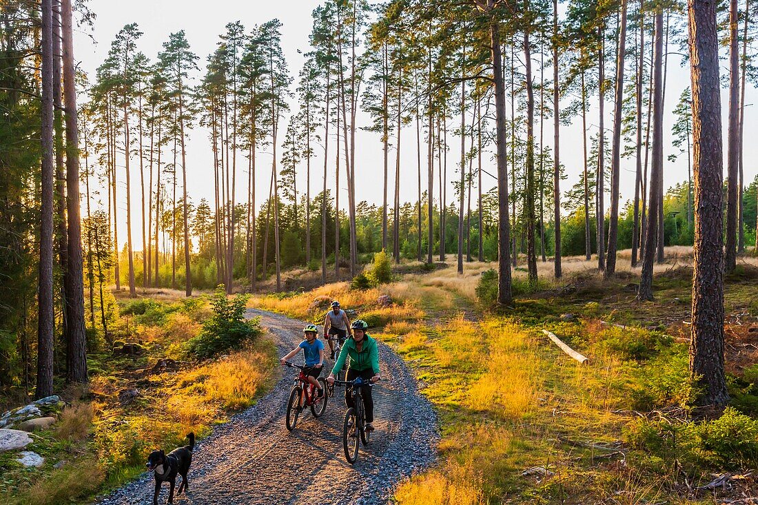 Schweden,Grafschaft Vastra Gotaland,Hokerum,Weiler Ulricehamn,Bericht der Familie Rochat,Familienerholung am Sonntag zu einem der Seen rund um das Haus und zurück durch den Wald mit Brindille