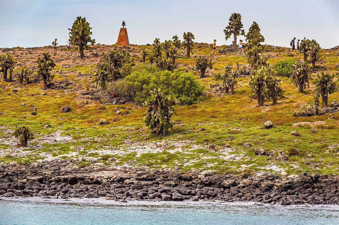 Ecuador,Galapagos-Archipel,von der UNESCO zum Weltkulturerbe erklärt,Insel Santa Cruz,Insel Plaza Sud