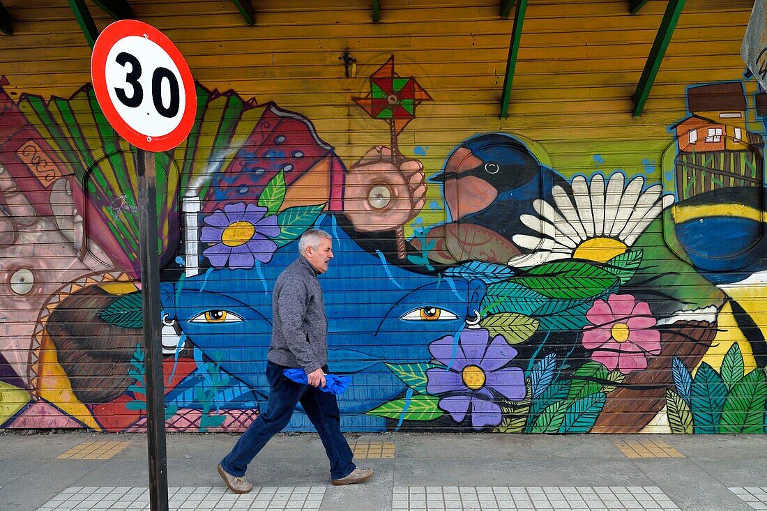 Chile, Los Lagos region, Chiloé Island, town of Castro, painted wall