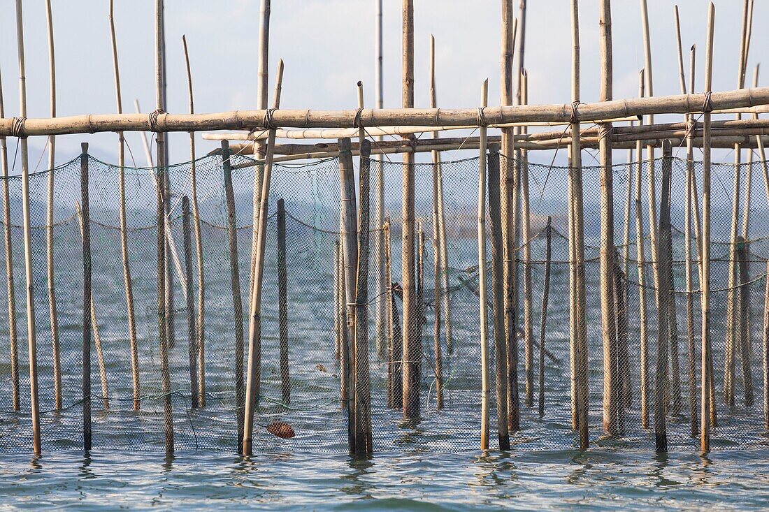 Philippines, Palawan, Malampaya Sound Protected Landscape and Seascape, typical fishing gear with a bamboo structure maintaining fish nets