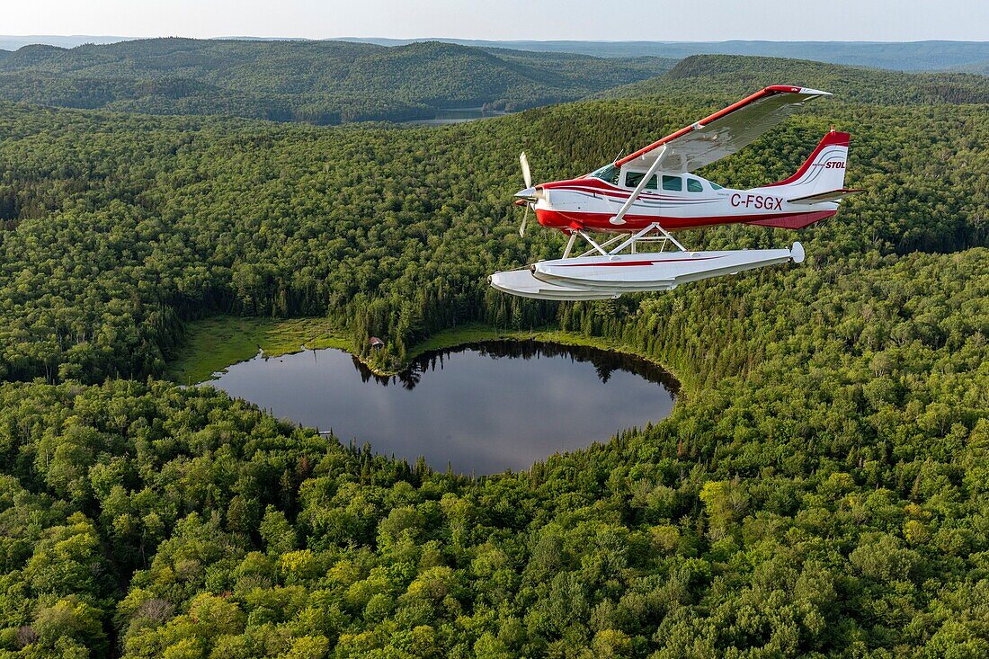 Canada, Province of Quebec, Mauricie region, Hydravion Aventure, Cessna 206 flight over the boreal forest in the vicinity of Lake Sacacomie, heart-shaped lake