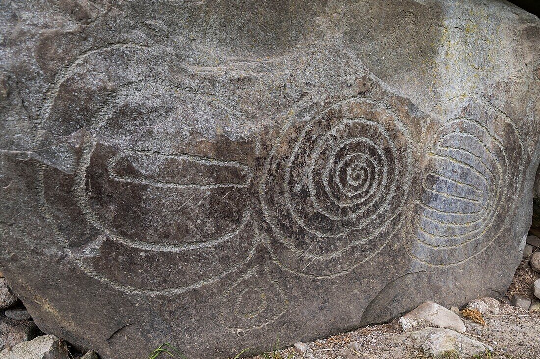 Irland,Grafschaft Meath,Bru Na Boinne archäologische Stätte von Fourknocks im Weltkulturerbe der Unesco,außerhalb Tumulus od Dowth