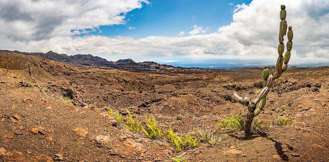 Ecuador,Galapagos-Archipel,von der UNESCO zum Weltnaturerbe erklärt,Insel Isabela (Albemarie),Panoramablick auf den Vulkan Chico