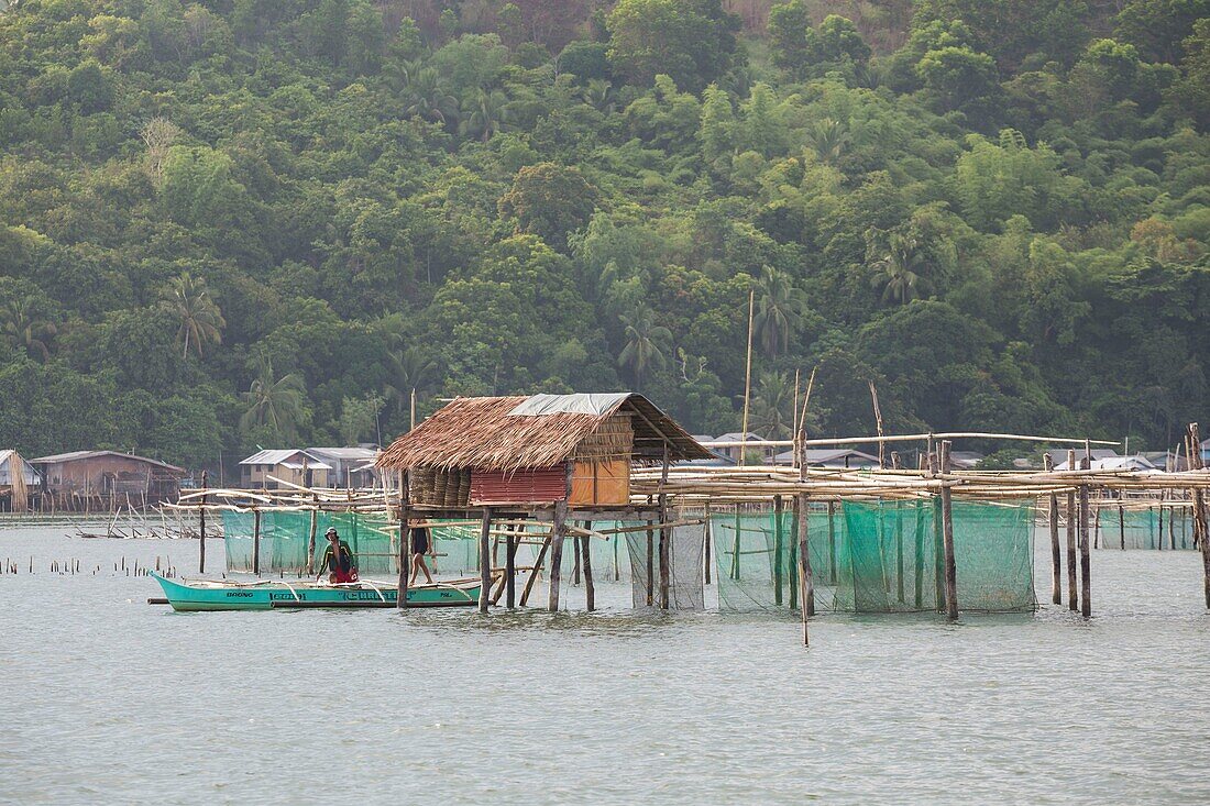 Philippines, Palawan, Malampaya Sound Protected Landscape and Seascape, typical fishing gear with a bamboo structure maintaining fish nets