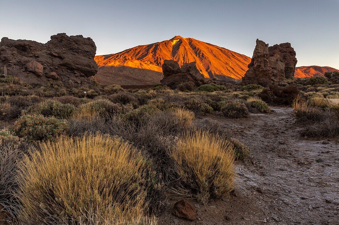 Spanien,Kanarische Inseln,Insel Teneriffa,Parque Nacional del Teide (Teide-Nationalpark),von der UNESCO zum Weltkulturerbe erklärt,Vegetation und Felsen bis zum Vulkan Teide