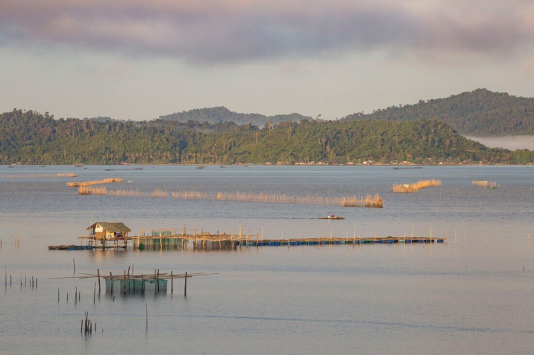 Philippines, Palawan, Malampaya Sound Protected Landscape and Seascape, typical fishing gear with a bamboo structure maintaining fish nets