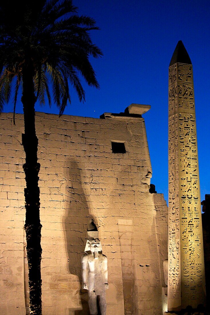 Ägypten,Oberägypten,Niltal,Luxor,Fassade des Luxor-Tempels mit der Statue von Ramses II.,dem Obelisken und der schlanken Palme,beleuchtet bei Nacht