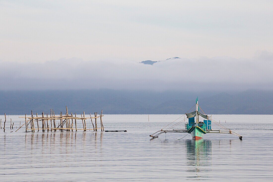 Philippines, Palawan, Malampaya Sound Protected Landscape and Seascape, the dolphin watching boat to see the elusive and critically endangered Irrawaddy Dolphin (Orcaella brevirostris - Malampaya Sound subpopulation)