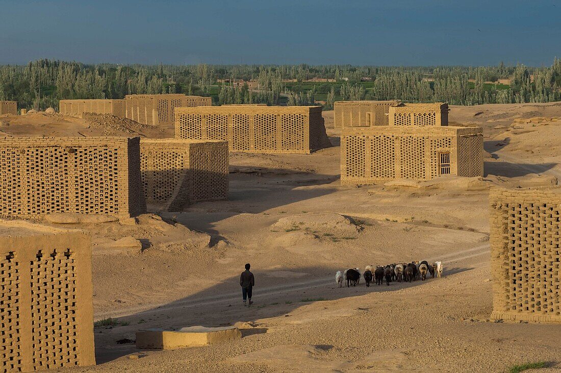 China,Autonome Region Xinjiang,Turfan oder Turpan,Traubentrockner aus Lehmziegeln