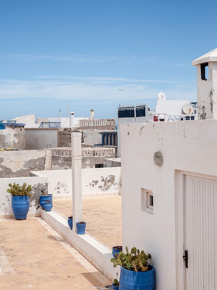 Morocco, Essaouira, Story :  Total renovation of a vintage spirit riad 