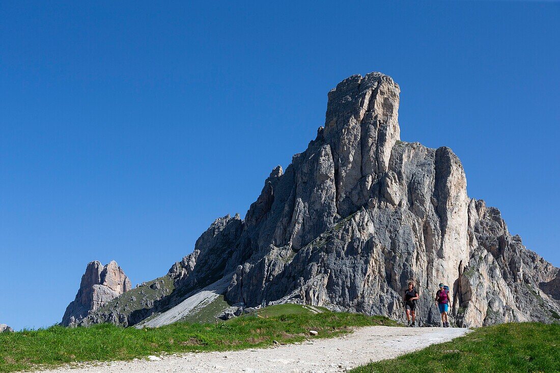 Italy, Veneto, Belluno province, Dolomites, UNESCO World Heritage Site, Passo Giau Pass or Santa Lucia Pass (2462 m)