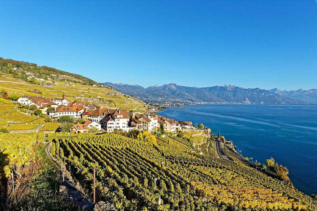 Schweiz,Kanton Waadt,Lavaux Weinbergterrassen,von der UNESCO zum Weltkulturerbe erklärt,erstreckt sich von Montreux bis Lausanne auf 32 km entlang des Genfer Sees und 850 ha,das Dorf Rivaz und die Stadt Montreux im Hintergrund