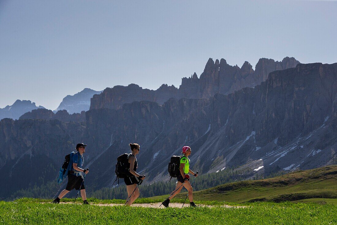 Italy, Veneto, Belluno province, Dolomites, UNESCO World Heritage Site, Passo Giau Pass or Santa Lucia Pass (2462 m)