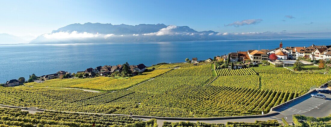 Schweiz,Kanton Waadt,Lavaux Weinbergterrassen,von der UNESCO zum Weltkulturerbe erklärt,erstreckt sich von Montreux bis Lausanne auf 32 km entlang des Genfer Sees und 850 ha,das Dorf Rivaz