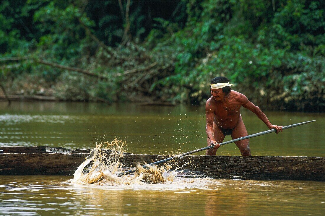 Ecuador,Orellana,Rio Cononaco,Familienfischen,die Huaorani sind einer der beiden letzten Jäger- und Sammlerstämme,die im Herzen des Regenwaldes von Ecuador leben