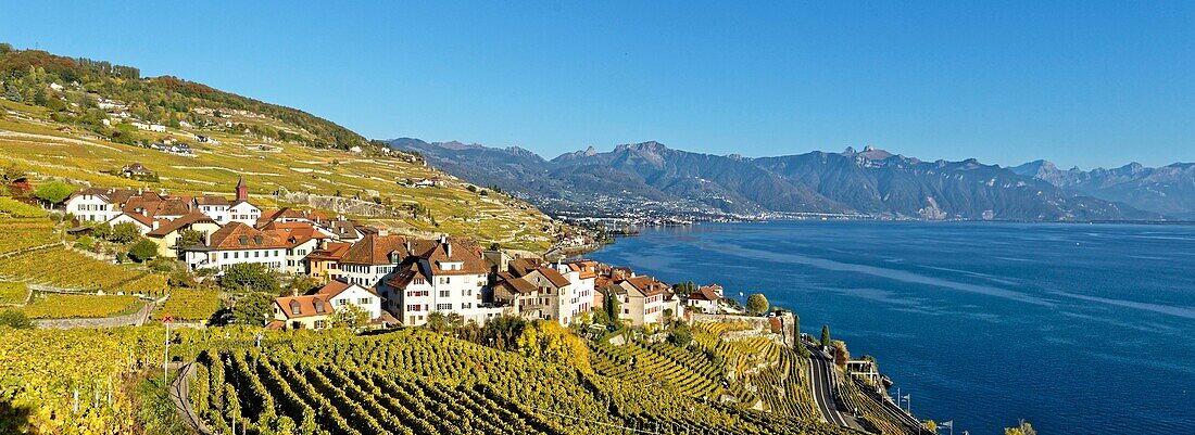 Schweiz,Kanton Waadt,Weinbergterrassen des Lavaux,von der UNESCO zum Welterbe erklärt,erstreckt sich von Montreux bis Lausanne auf 32 km entlang des Genfersees und 850 ha,im Hintergrund das Dorf Rivaz und die Stadt Montreux