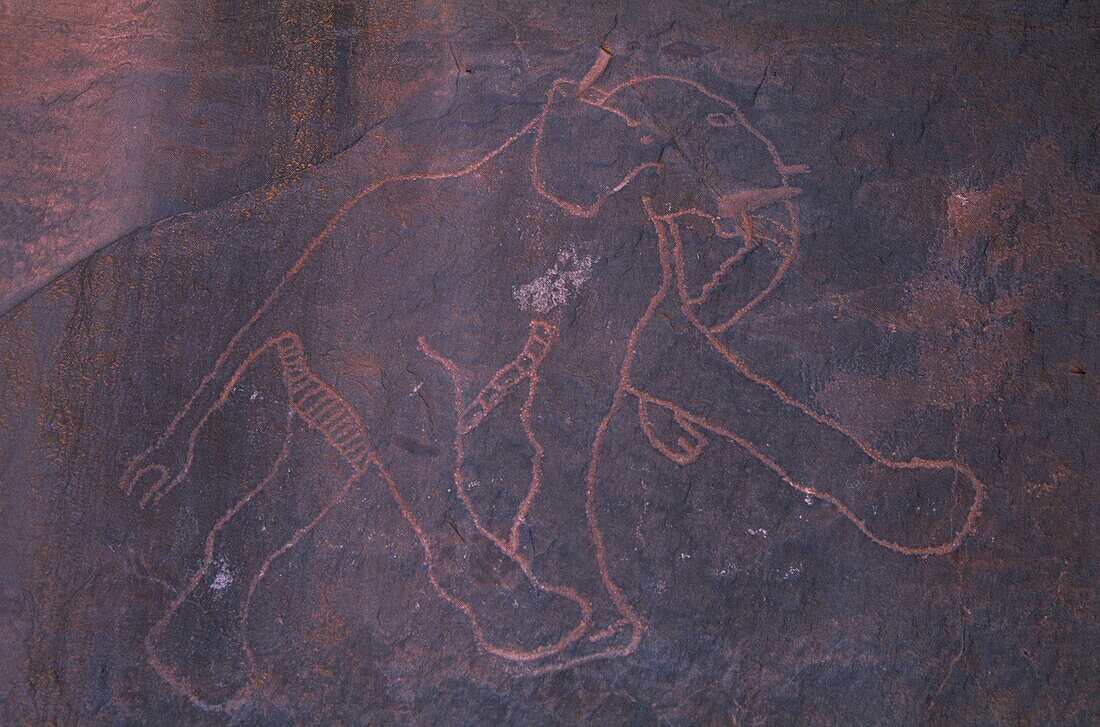 Libya, Sahara, Rock carvings from Messak Settafet