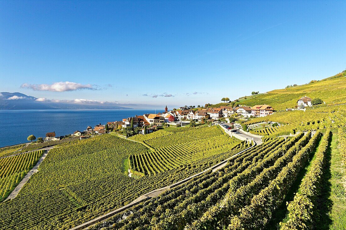 Schweiz,Kanton Waadt,Weinbergterrassen des Lavaux,von der UNESCO zum Welterbe erklärt,erstreckt sich von Montreux bis Lausanne auf 32 km entlang des Genfer Sees und 850 ha,das Dorf Rivaz