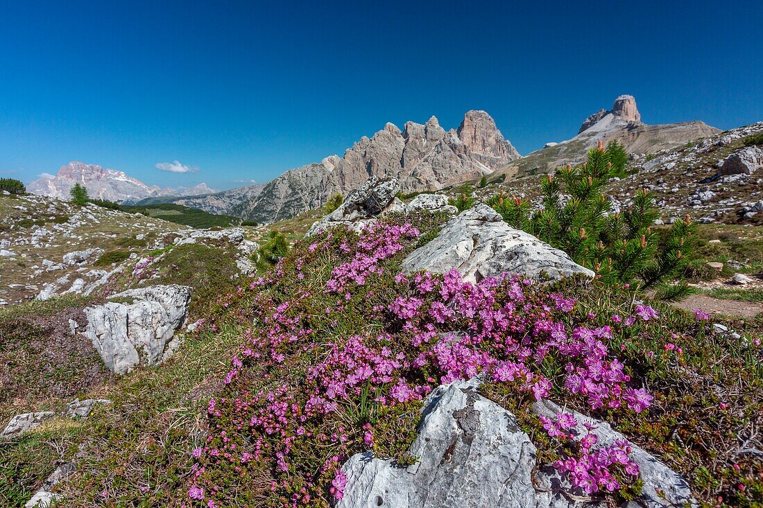 Italien,Trentino-Südtirol,Dolomitenmassiv,das von der UNESCO zum Welterbe erklärt wurde,Drei Zinnen von Lavaredo