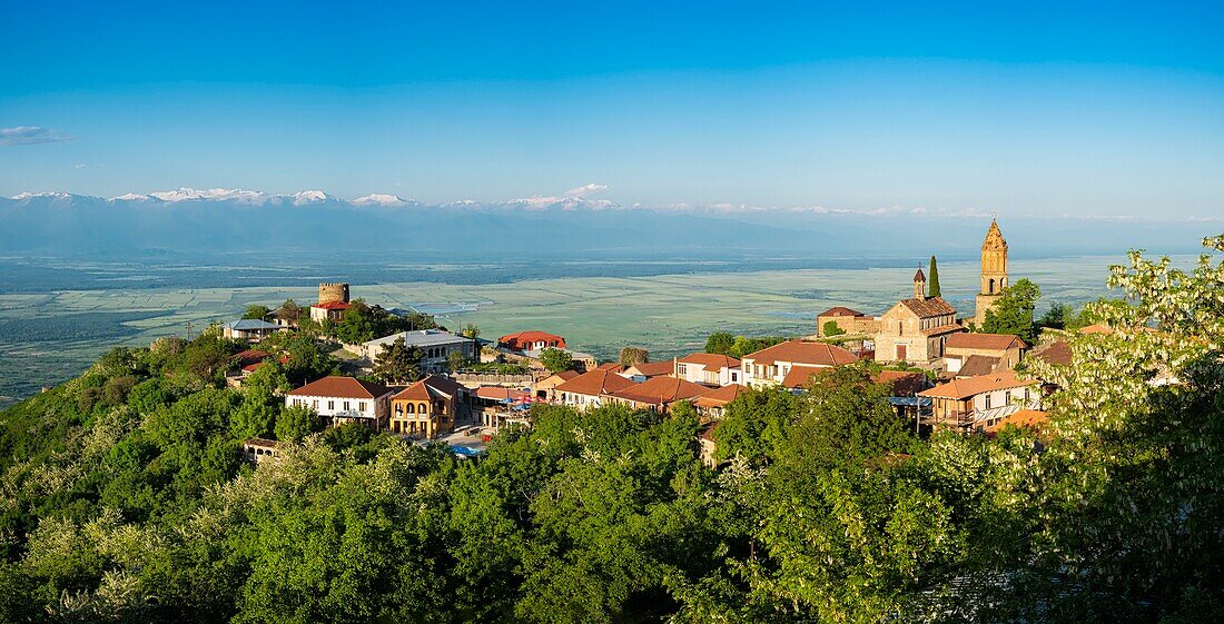 Georgia, Kakheti region, Sighnaghi fortified village, Greater Caucasus range covered with snow in the background