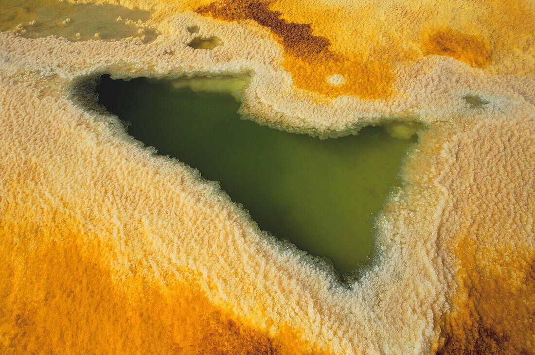 Äthiopien,Danakil-Wüste,Dallols Erklärung eines einzigartigen Ortes auf der Erde liegt in dem doppelten Spiel von Vulkanismus und Hydrologie