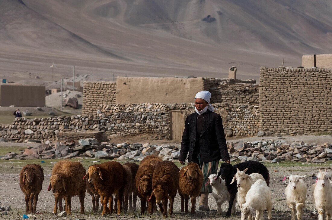 China, Xinjiang autonomous region, Pamir highlands, pastures and semi nomadic kirghize communities of lake Karakul