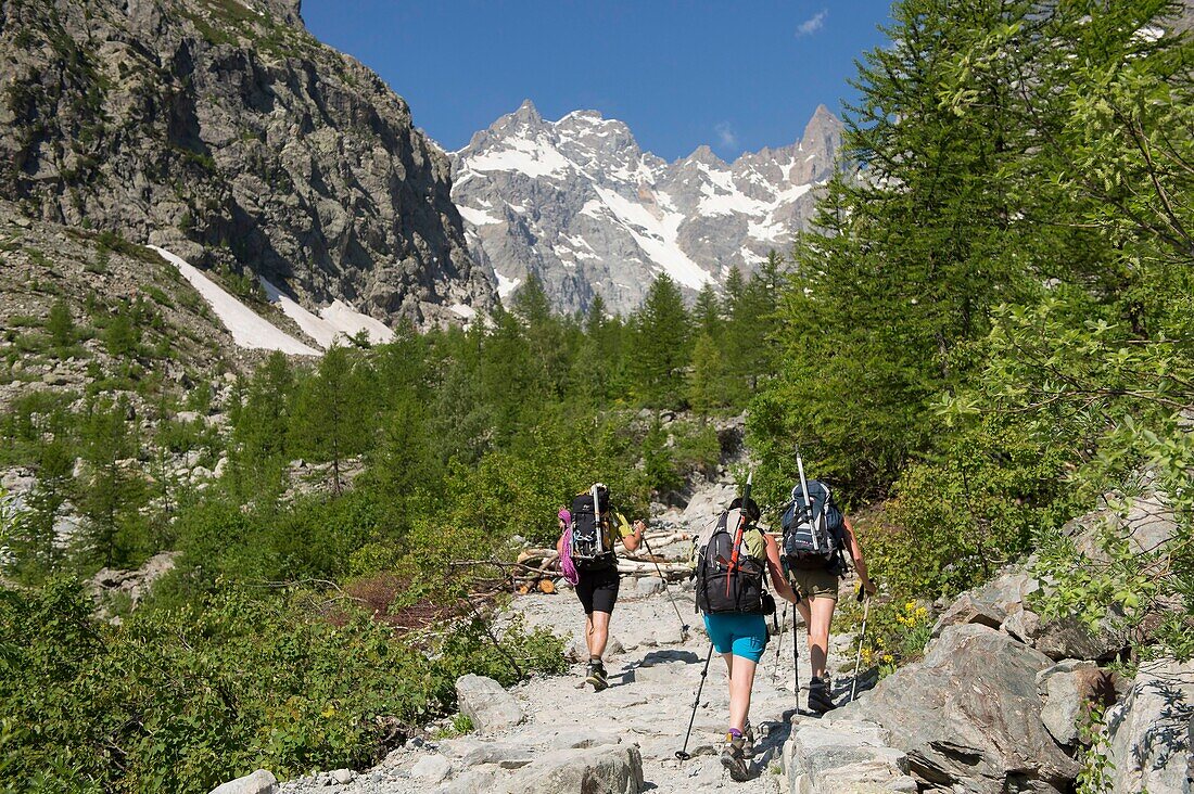 France, Hautes Alpes, massif of Oisans, Ecrins National Park, high mountain hike at la Roche Faurio, departing from mrs. Carle's father and Coolidge peak