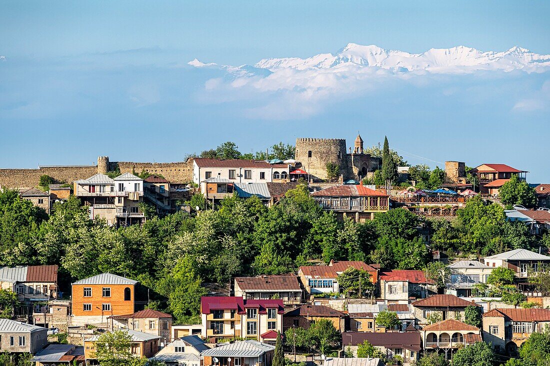 Georgia, Kakheti region, Sighnaghi fortified village, Greater Caucasus range covered with snow in the background