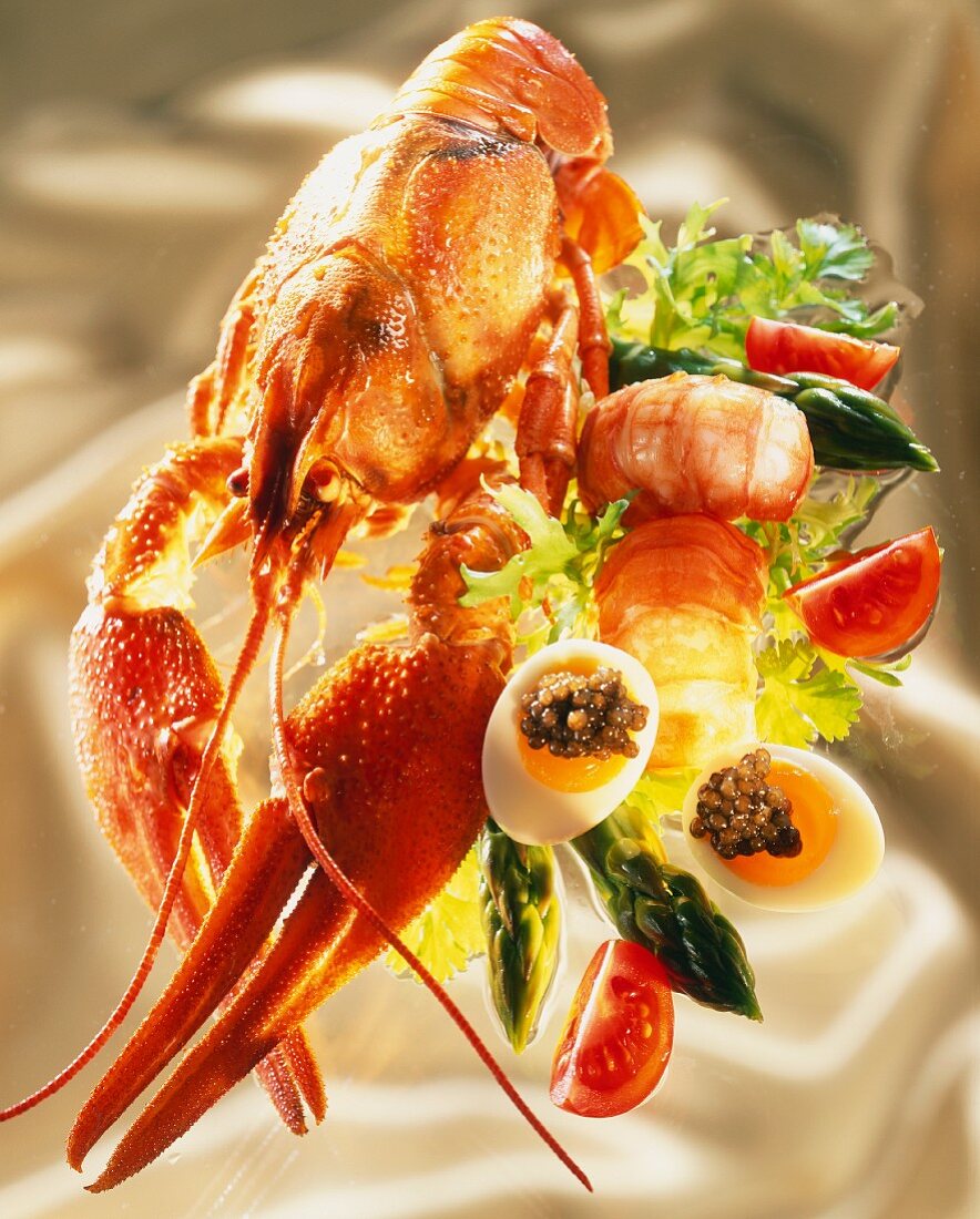 A Garnished Boiled Lobster
