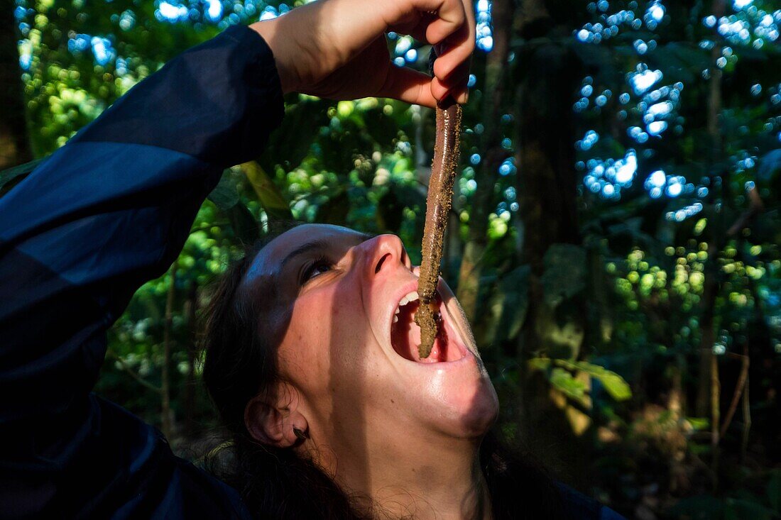 Ecuador, Tena, immersion life experience with the Waoranis of the Rio Nushino, searching for earthworms to bait fish