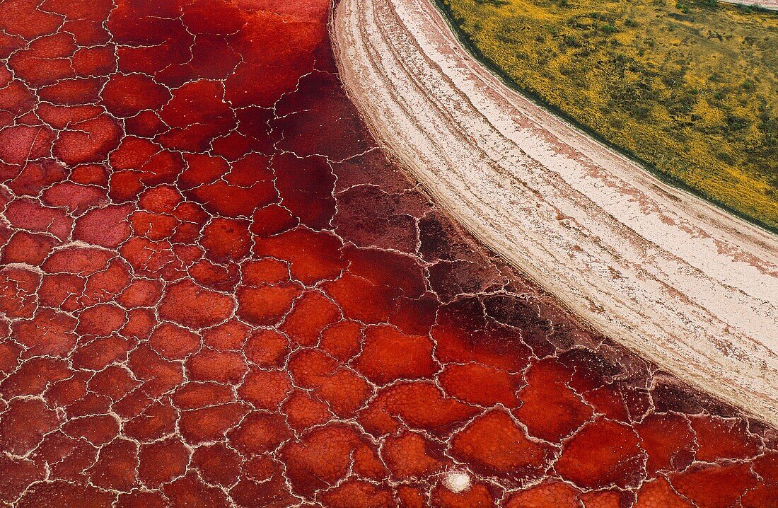 Tanzania, North Frontier, Lake Natron from the Sky (aerial view)