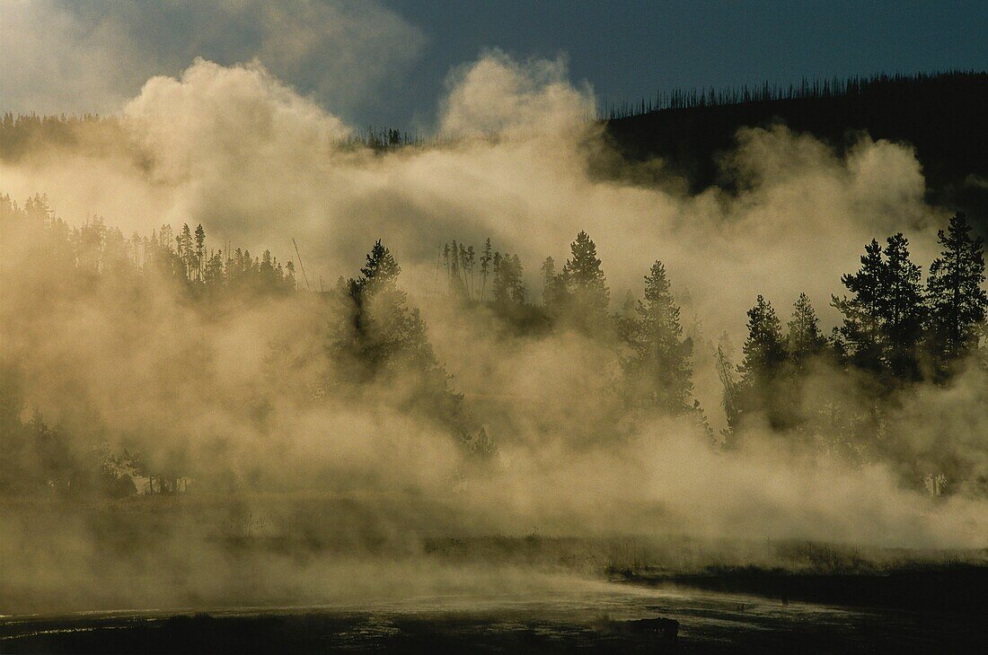 United States, Wyoming, Idaho, Montana, Yellowstone National Park, In winter Yellowstone National Park is made difficult to access by cold and snow very important