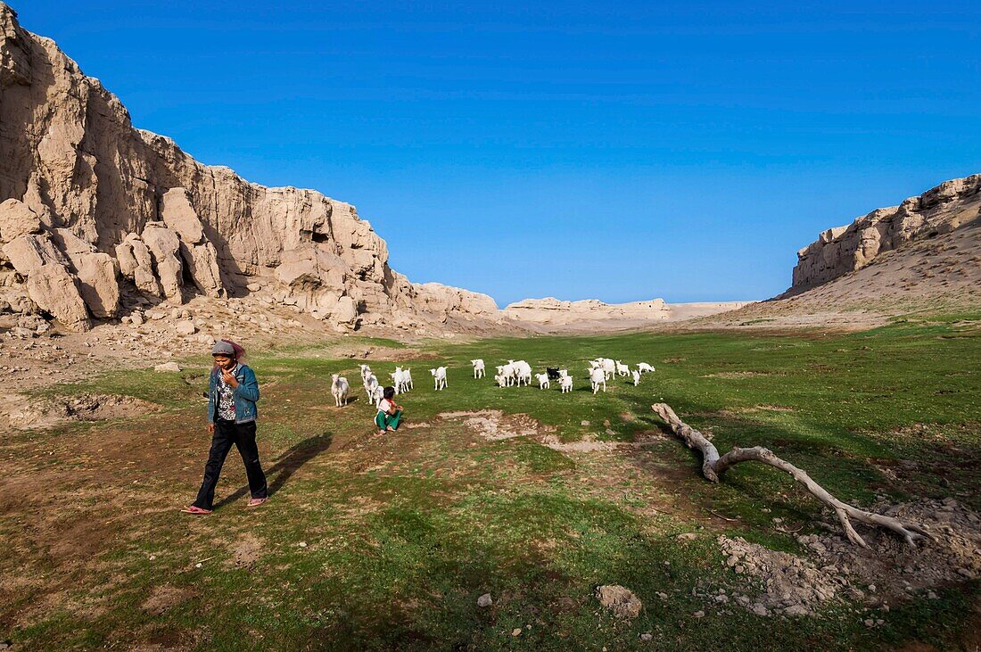 China, Xinjiang autonomous region, Turfan or Turpan, ruined ancient cities of Jiaohe and Gaocheng, stops on the Silk Road