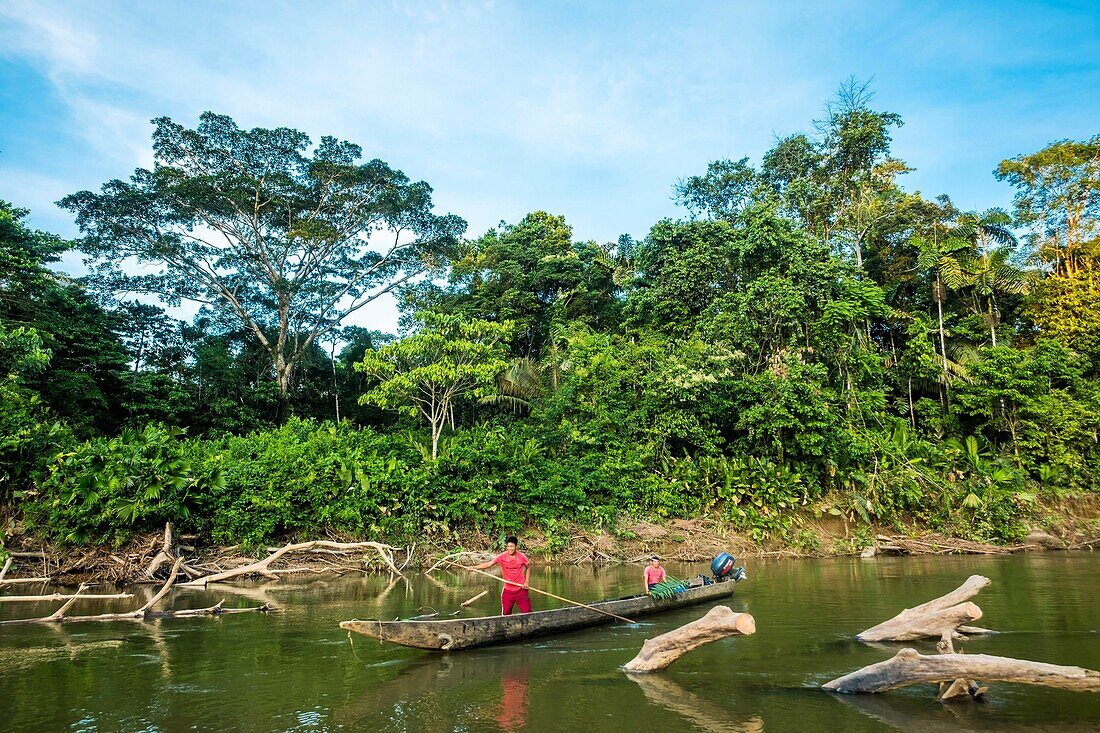 Ecuador,Tena,Lebenserfahrung mit den Waoranis,Biwak am Ufer des Rio Nushino,Einbaum im Anflug