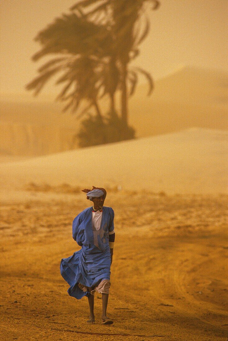 Mauritania, Adrar, Banc d'Arguin, Sahara