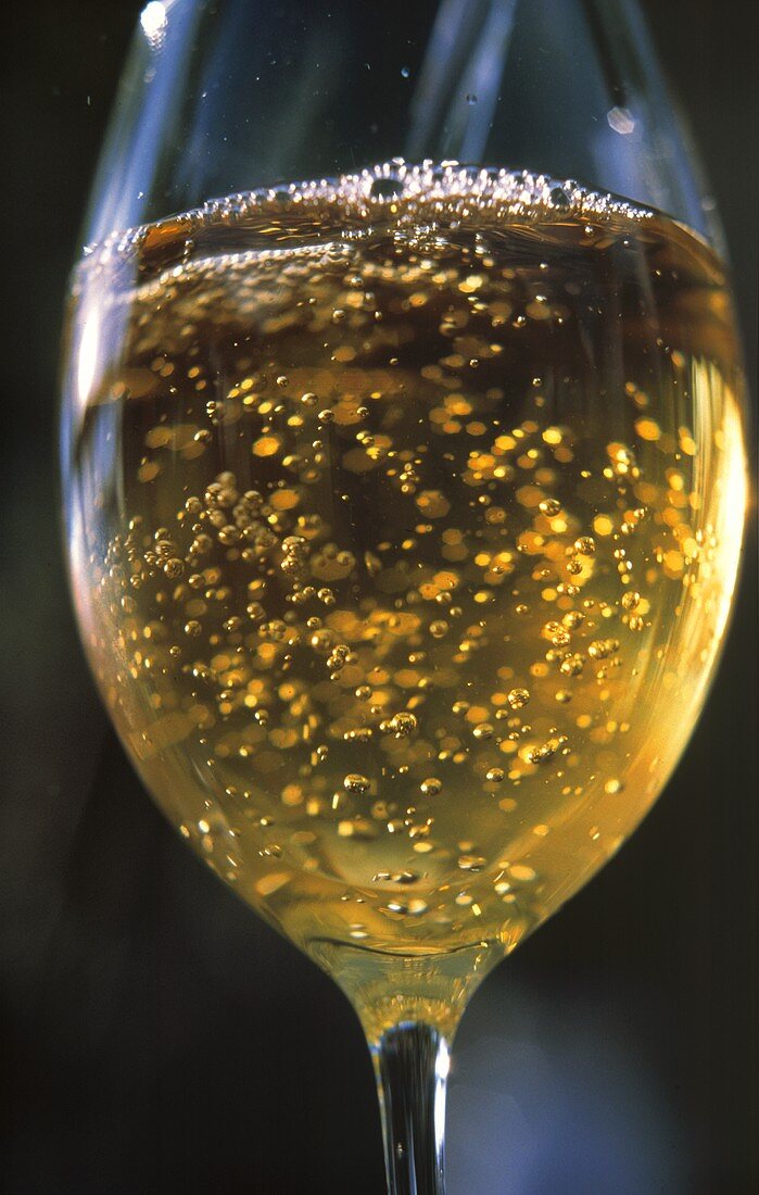 Glass of Champagne; Close Up