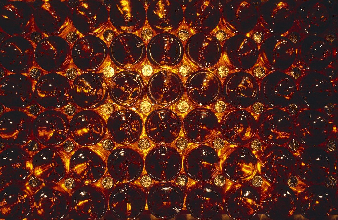 Alter Tokajer in Flaschen im Weinkeller (Ausschnitt)