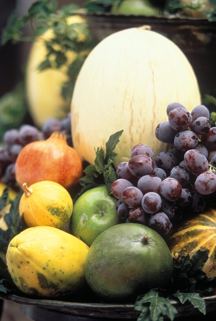 Herbstliches Früchtestilleben