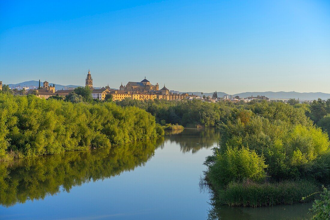 Guadalquivir river, Cordoba, Andalusia, Spain, Europe