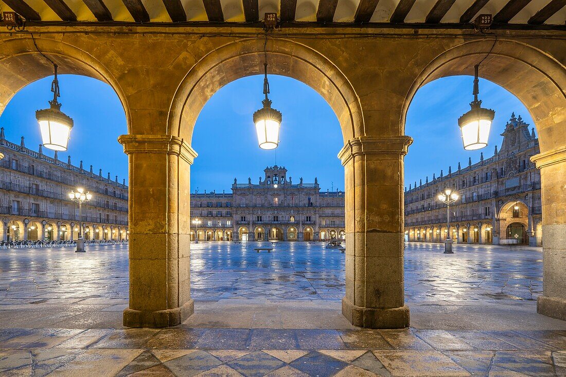 Plaza Mayor (Main Square), Salamanca, UNESCO World Heritage Site, Castile and Leon, Spain, Europe