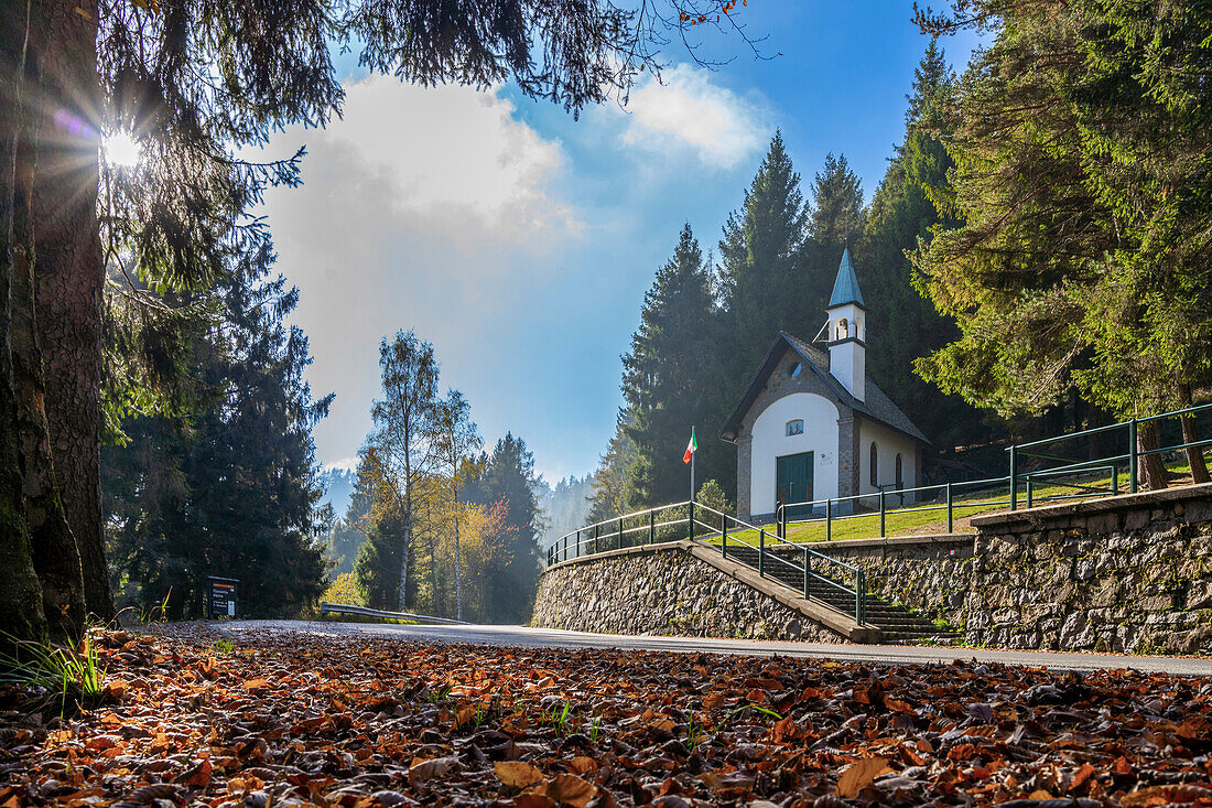 Oasi Zegna, Biella, Piedmont, Italy, Europe