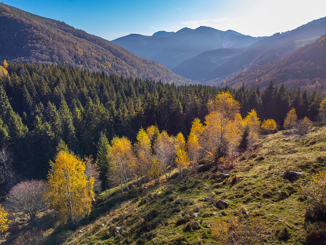 Oasi Zegna,Biella,Piemont,Italien,Europa