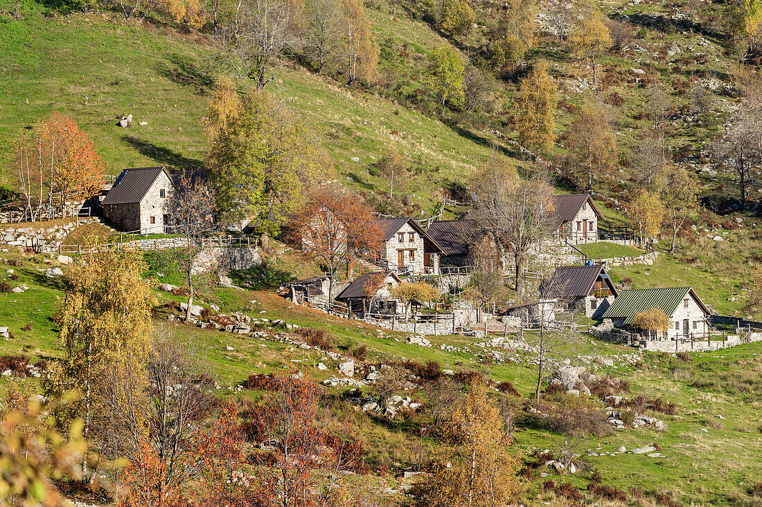 Oasi Zegna,Biella,Piemont,Italien,Europa