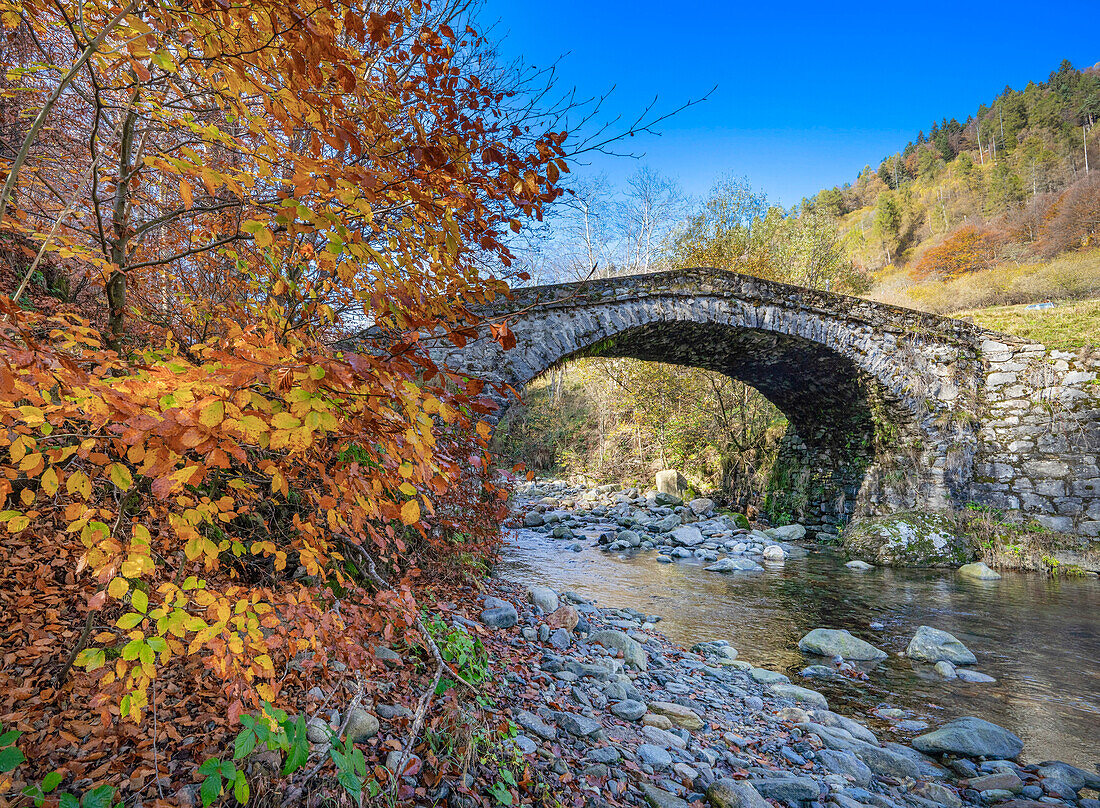 Oasi Zegna, Biella, Piedmont, Italy, Europe