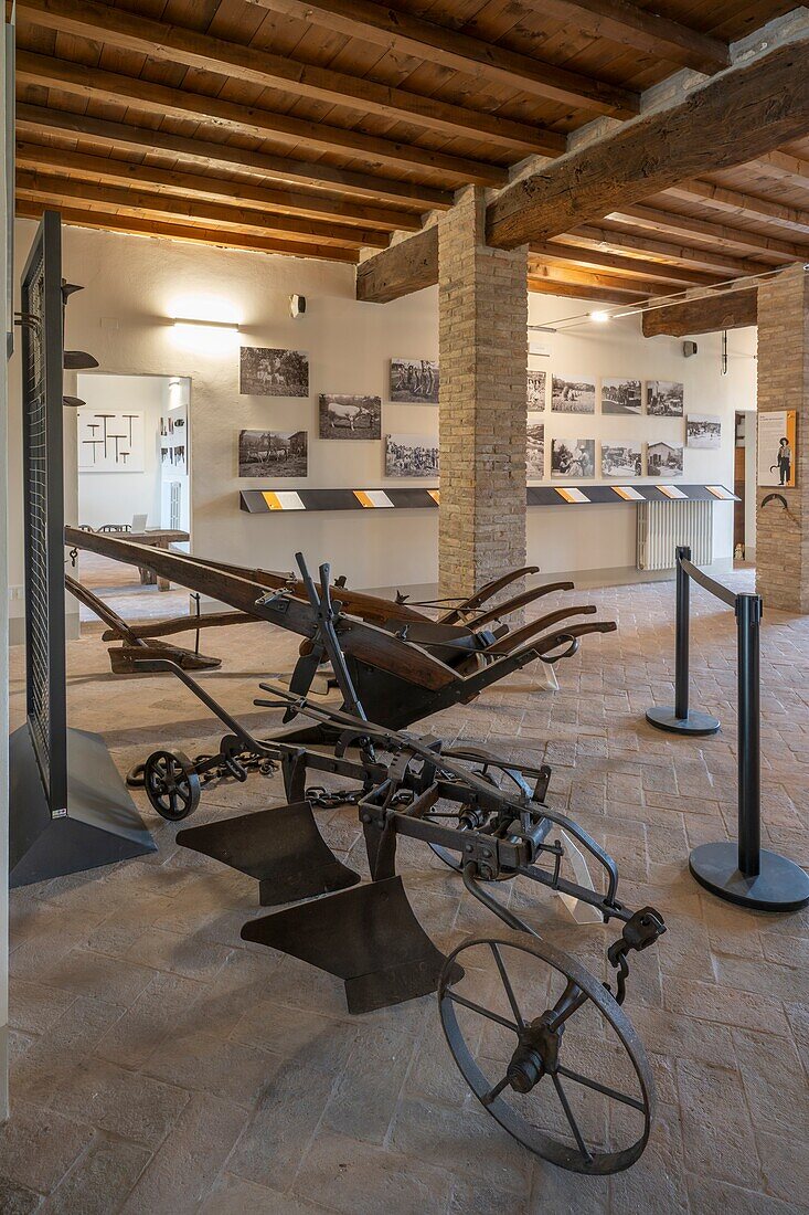 Giuseppe Simononini photographer, Rosso Graspa Museum, Levizzano Rangone Castle, Levizzano, Castelvetro di Modena, Modena, Emilia-Romagna, Italy, Europe