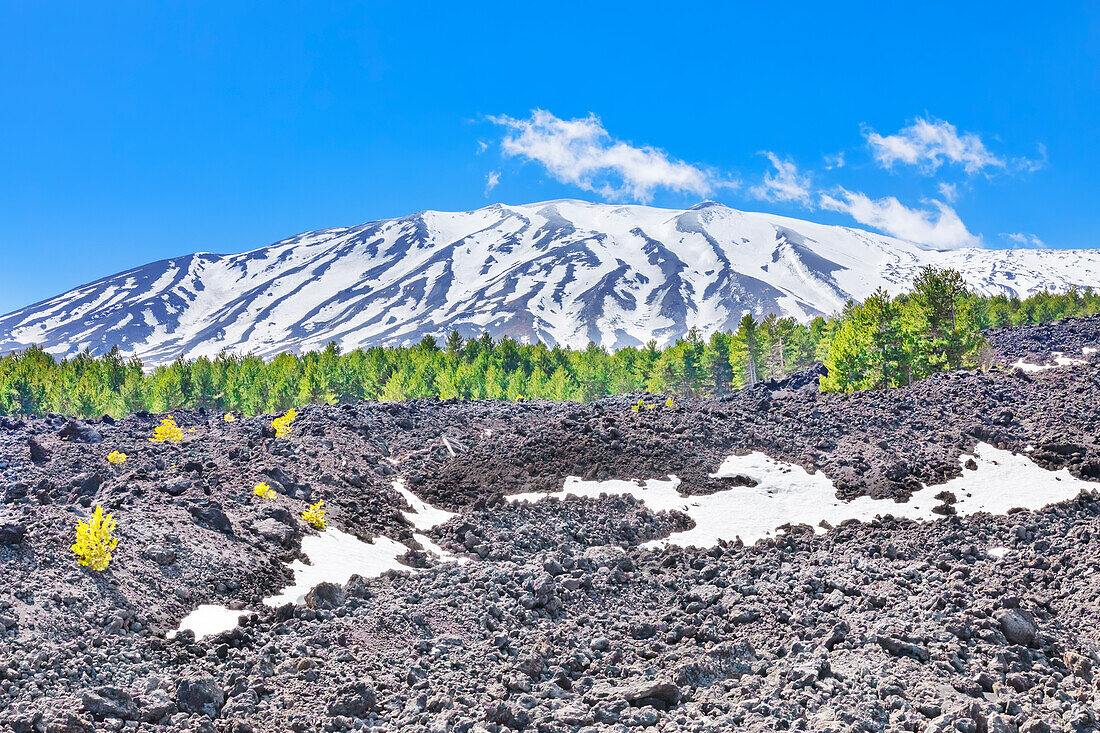 Blick auf Lavafelder und schneebedeckte Gipfel in der Ferne,Ätna,Sizilien,Italien,Mittelmeerraum,Europa