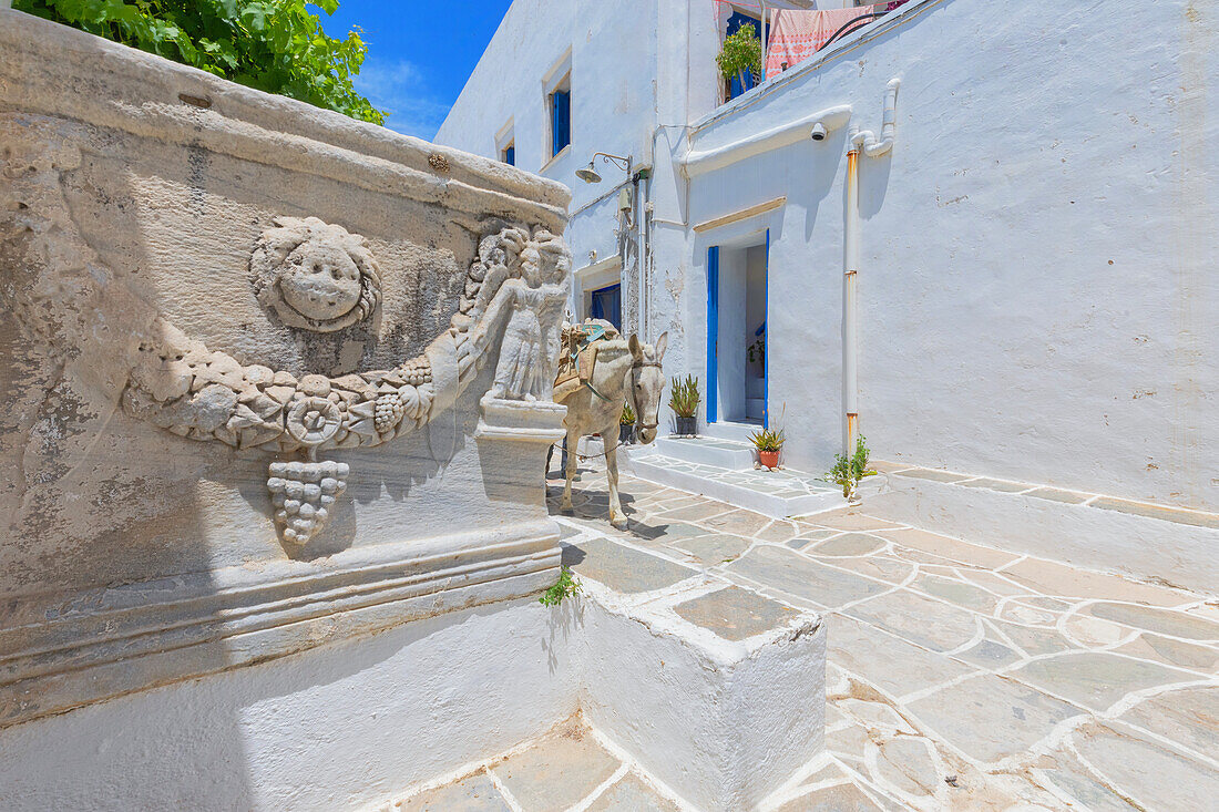 Maultier läuft durch die Straße des Dorfes Kastro,Kastro,Insel Sifnos,Kykladen,Griechische Inseln,Griechenland,Europa