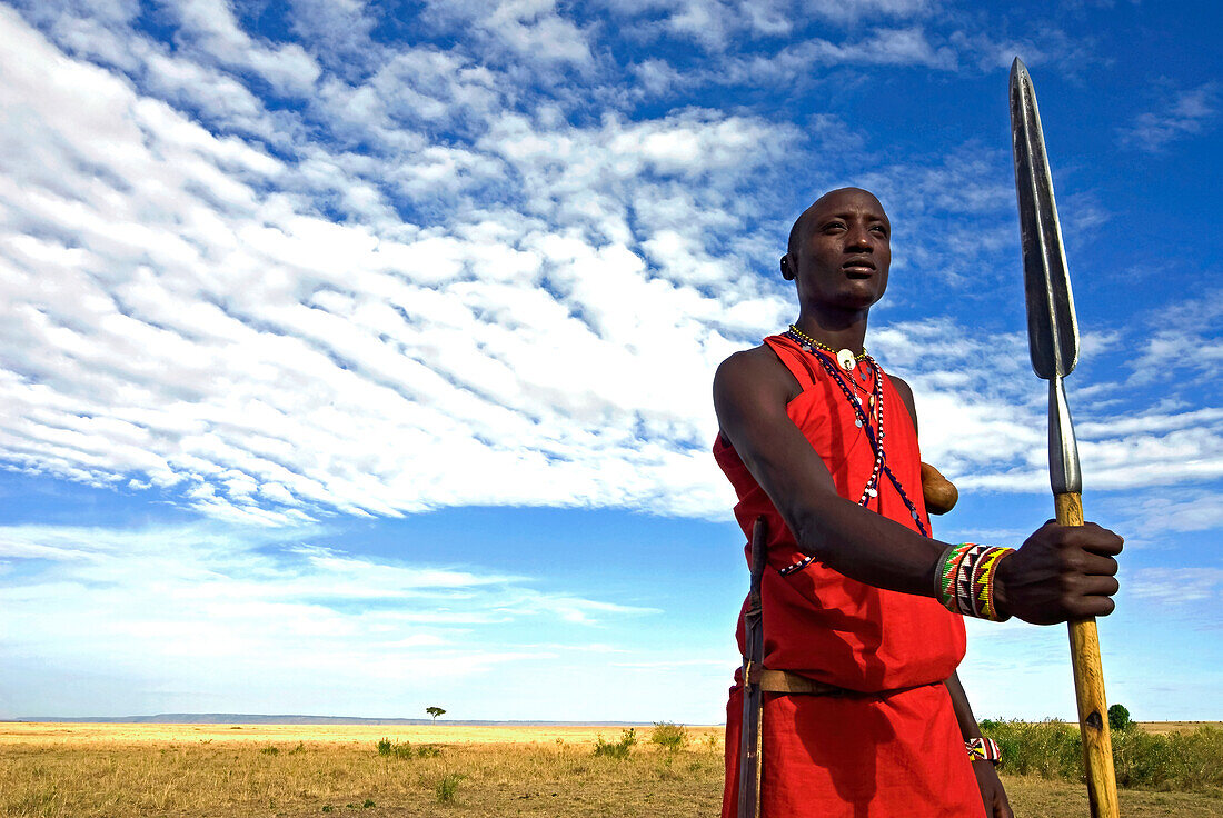 Maasai (Masai) Warrior, Masai Mara National Reserve, Kenya, East Africa, Africa