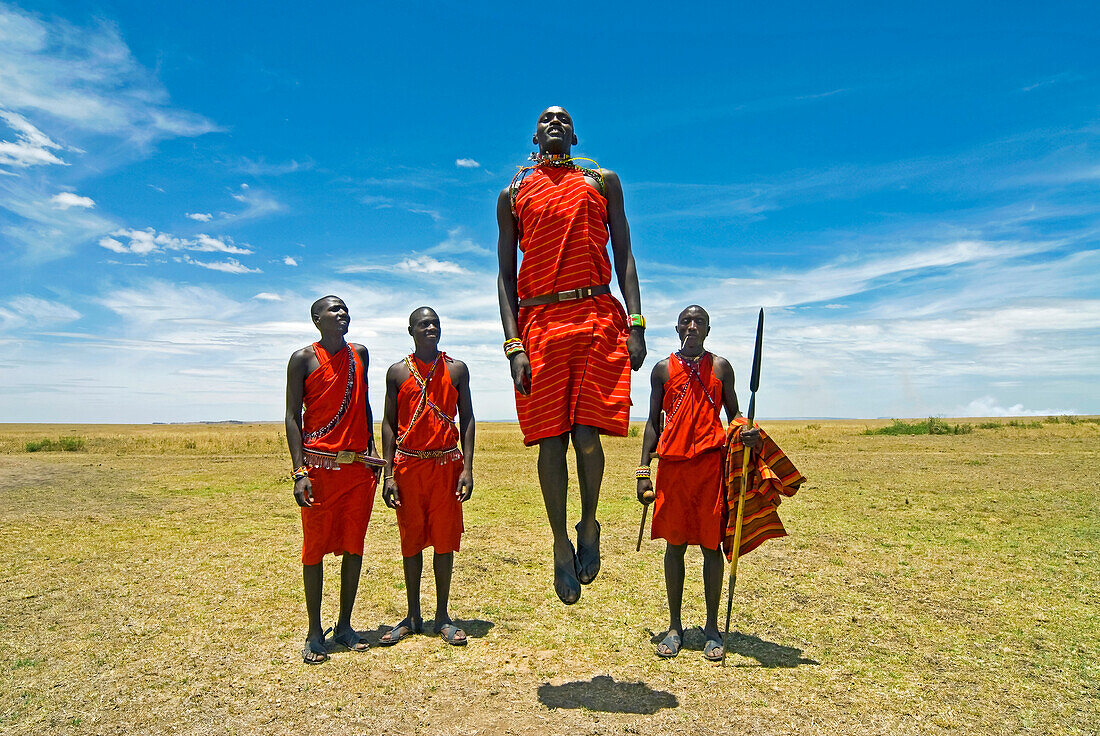 Maasai (Masai) warriors perform jumping dance, Masai Mara National Reserve, Kenya, East Africa, Africa